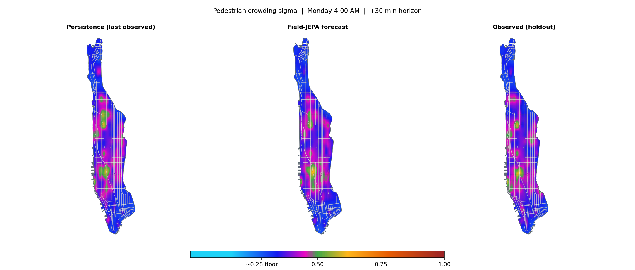 Three-panel continuous flowfield of pedestrian crowding sigma filling the Manhattan island silhouette. Persistence on the left, Field-JEPA +30-minute forecast in the center, holdout observed field on the right.